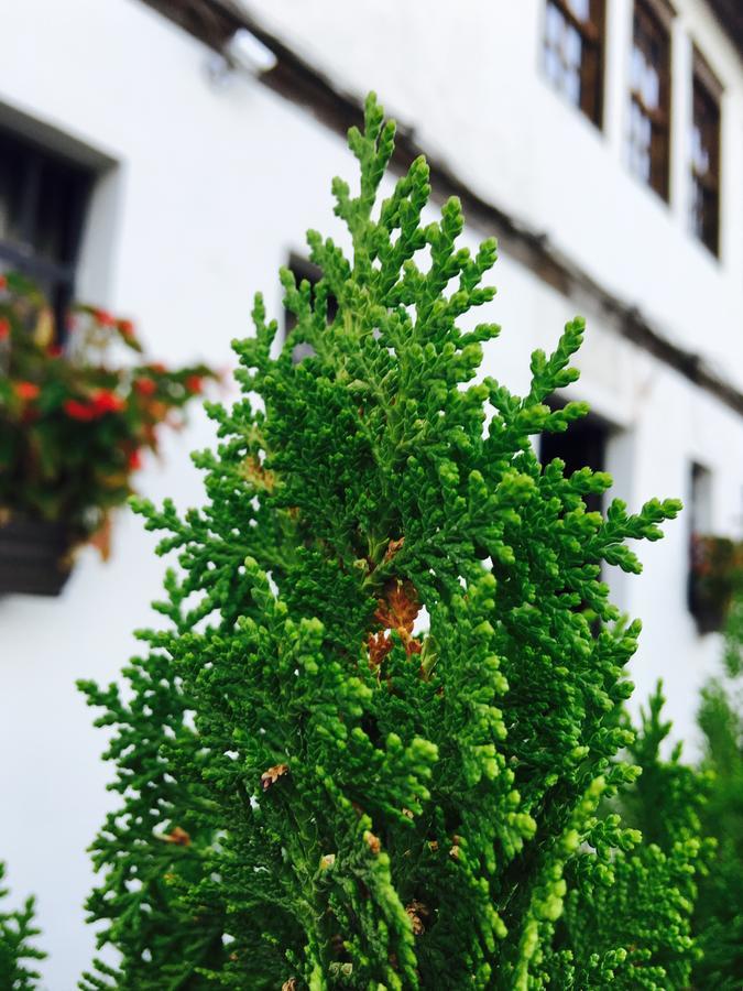 Hotel Omer ベラト エクステリア 写真